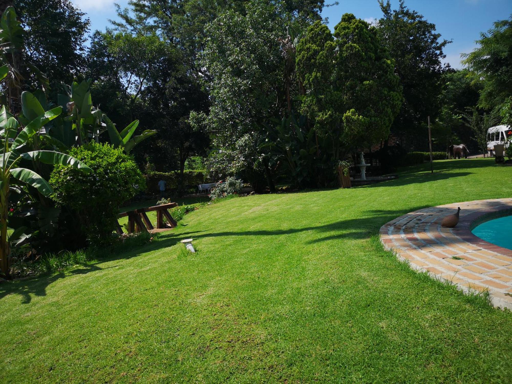 Lotus Guest House Johannesburg Bagian luar foto