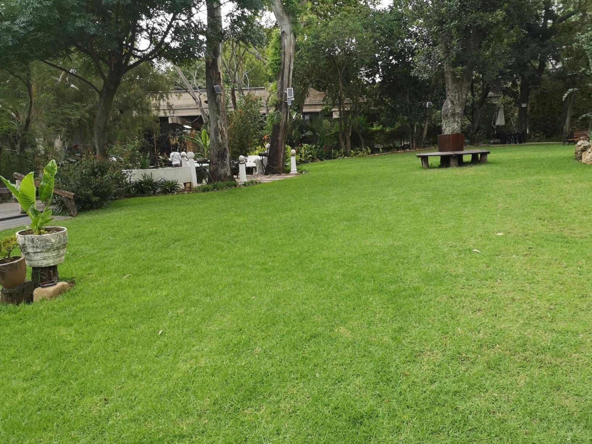 Lotus Guest House Johannesburg Bagian luar foto